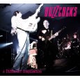 BUZZCOCKS「A Different Compilation」